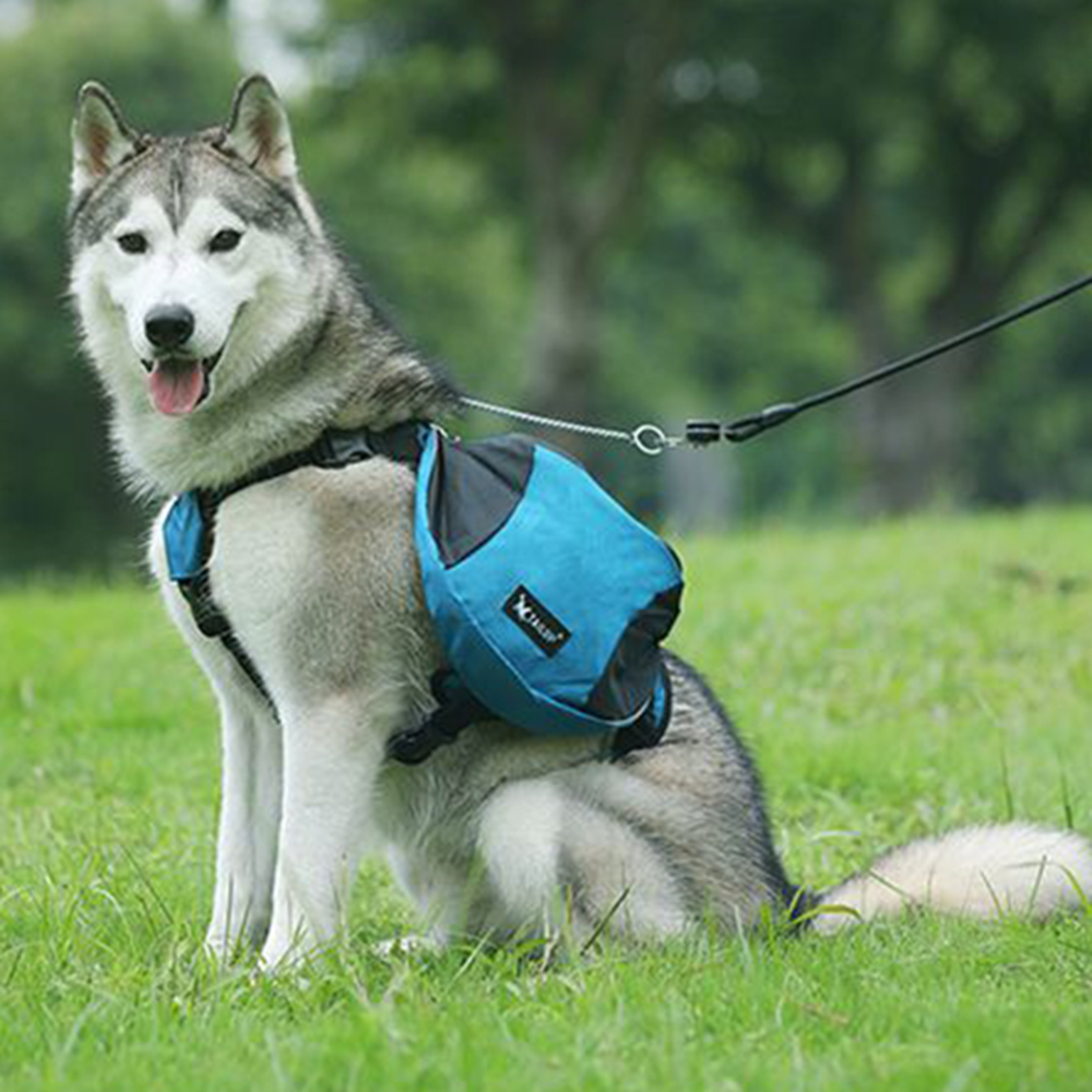 Hunde-Gewichtstrainings-Rucksa – Crossfit Weight Vest Bewertung und Preis
